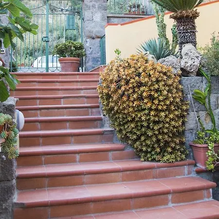 Paradiso Sant'Angelo (Isola d'Ischia)
